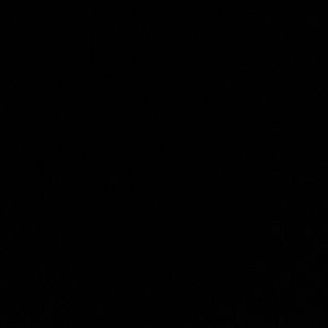 Meet your Posher, Cesar